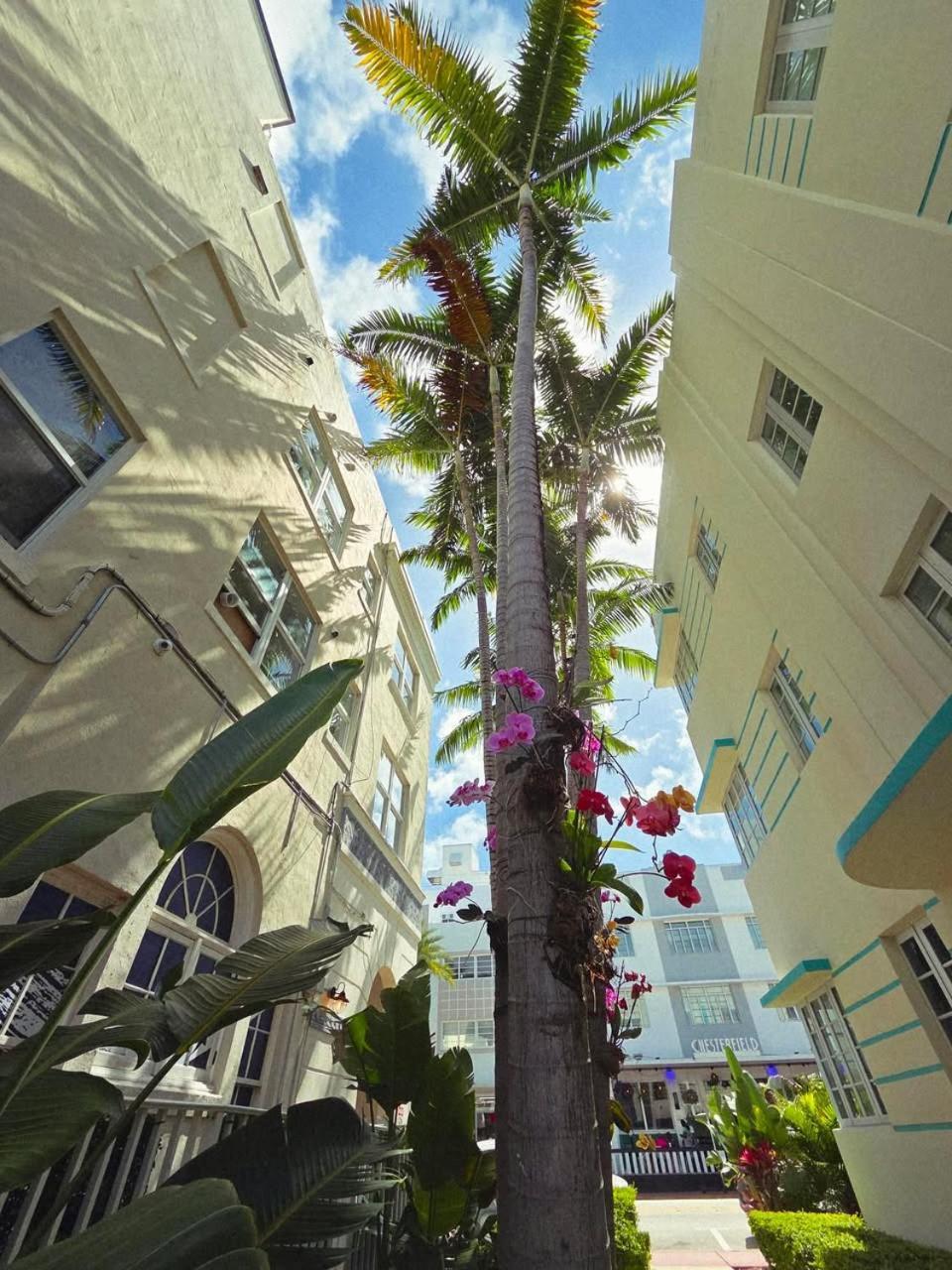Luxuri Suites Miami Beach Exterior photo